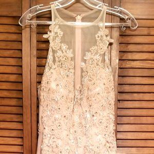 Blush Pink Prom/Wedding Gown